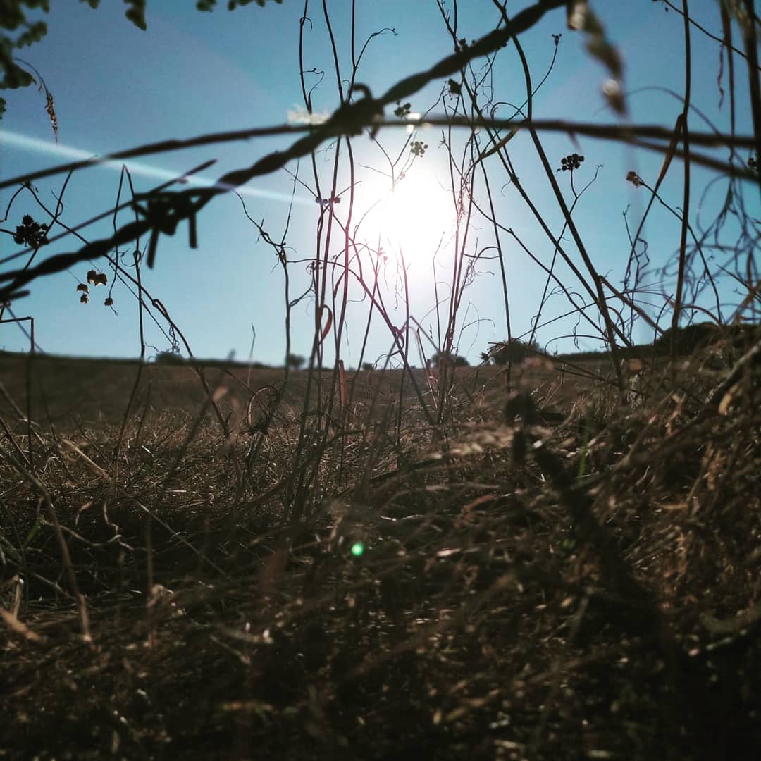 Deli_MonsterMan's tweet photo. Güneşe ulaşırsan özgür 
sevdiğine varırsan mutlu olursun https://t.co/kxAe8cREjg