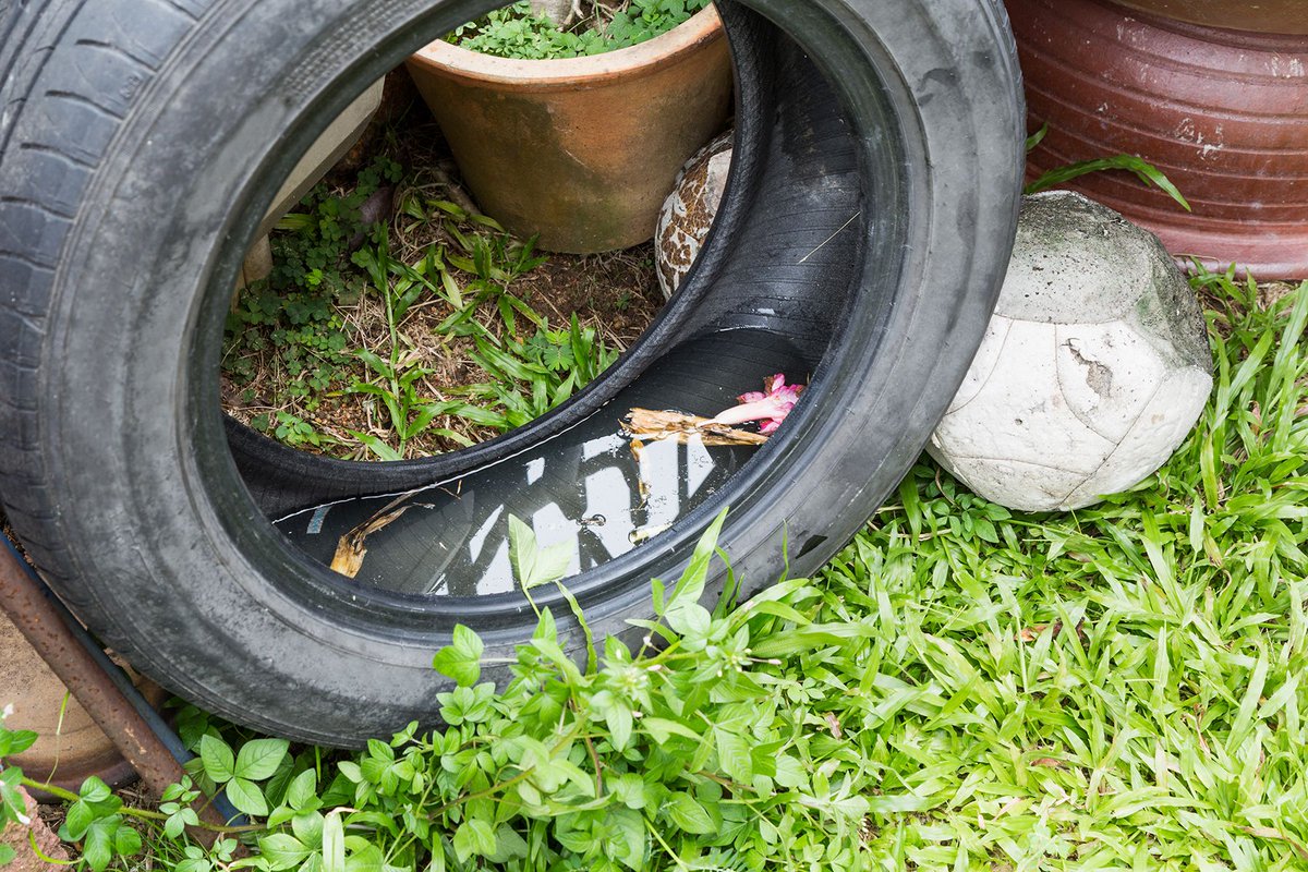 LADeptHealth's tweet photo. #TropicalStormBarry may have left standing water on your property — a perfect breeding ground for #mosquitoes. Turn over wheelbarrows, plastic wading pools, buckets, trash cans, tires or anything that could collect water. https://t.co/HLS48uJ3eV