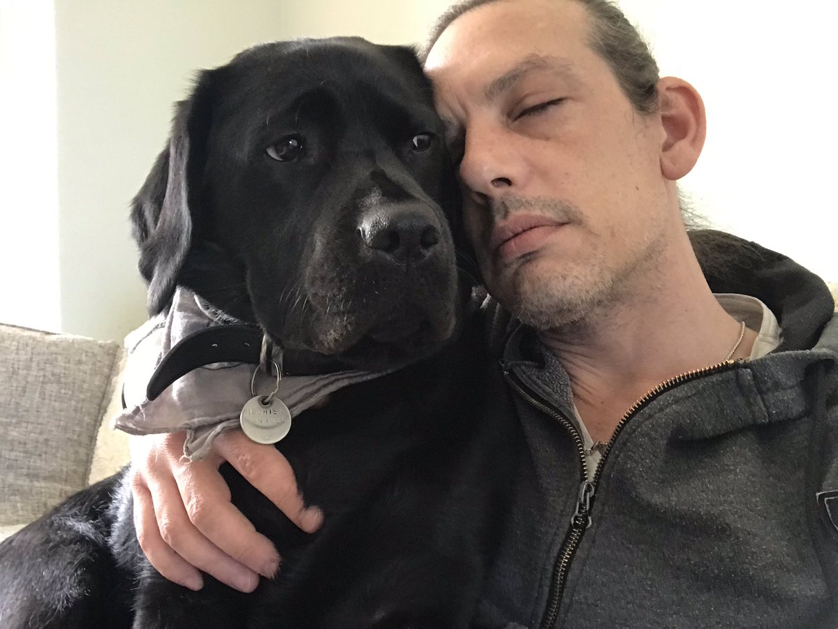 digitalplantpot's tweet photo. @NickyMcCallan @rickygervais Couldn’t agree more mate, however Ricky’s ‘Afterlife’ show is suspiciously similar to my life for the past two years. Without my dog, I would have lost it completely. #DogsofTwittter #lifesavingdogs #dogsarelove #dogsarefamily https://t.co/98xnjoWFjT