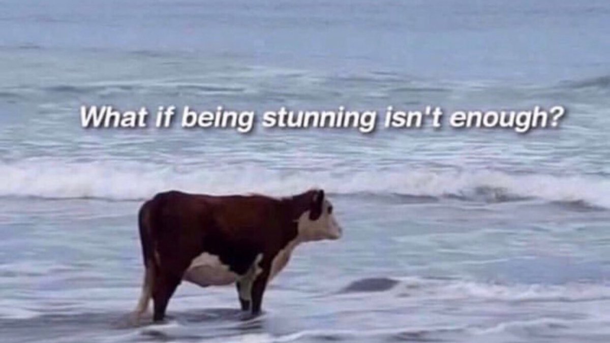 — 𝘗𝘦𝘢𝘳𝘭 ⋆ . ✦ ‧ (@poisedservitude) on Twitter photo 