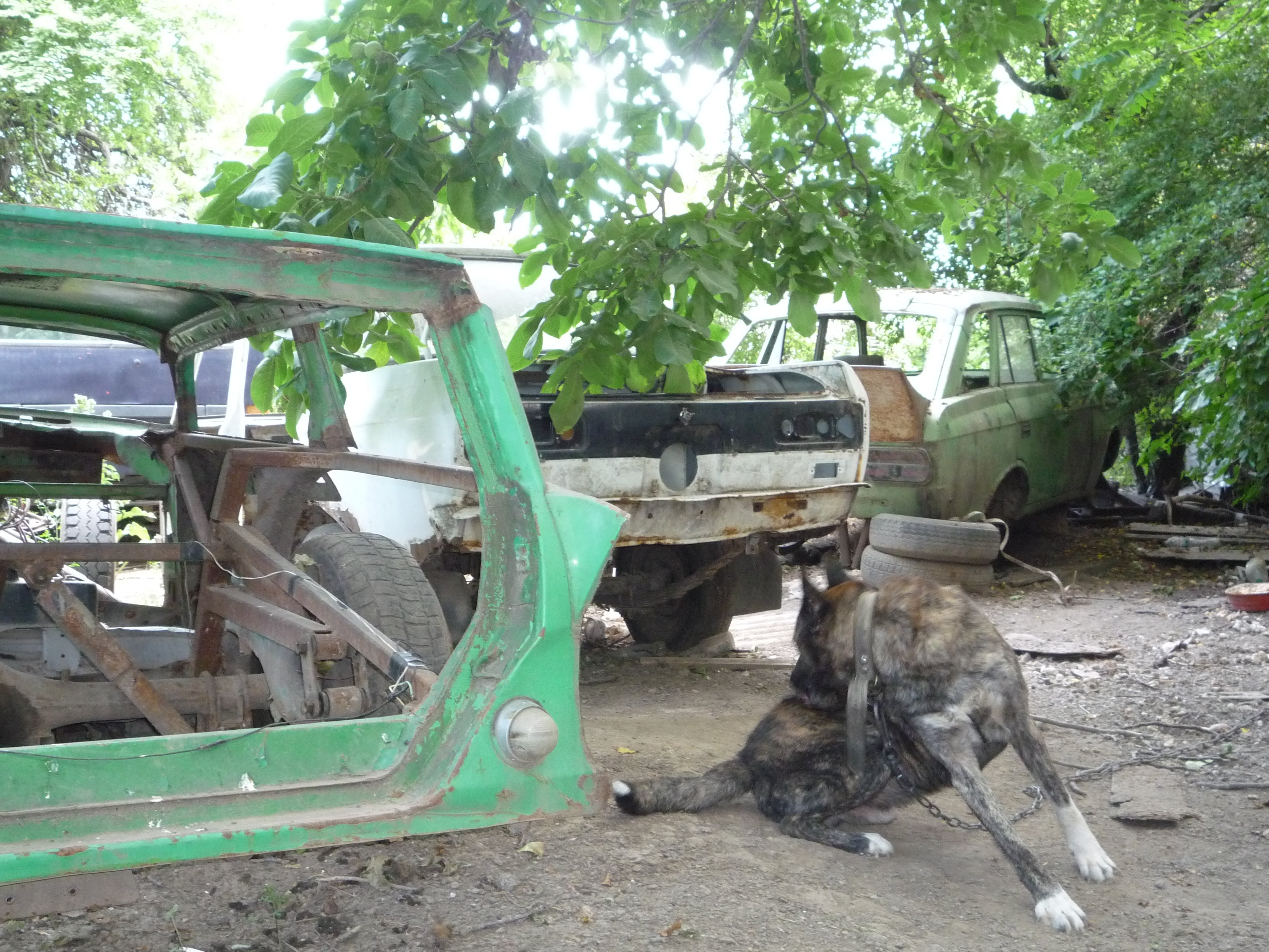 Зображення