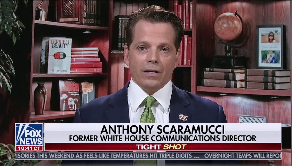 9/ Look who just moved in to the Long Island library nook –  @Scaramucci! Welcome, Mooch! It looks like you're also reading the 2001 thriller "Terrible Beauty" by  @RepPeteKing (R-NY). It's apparently a very popular book among TV talking heads.