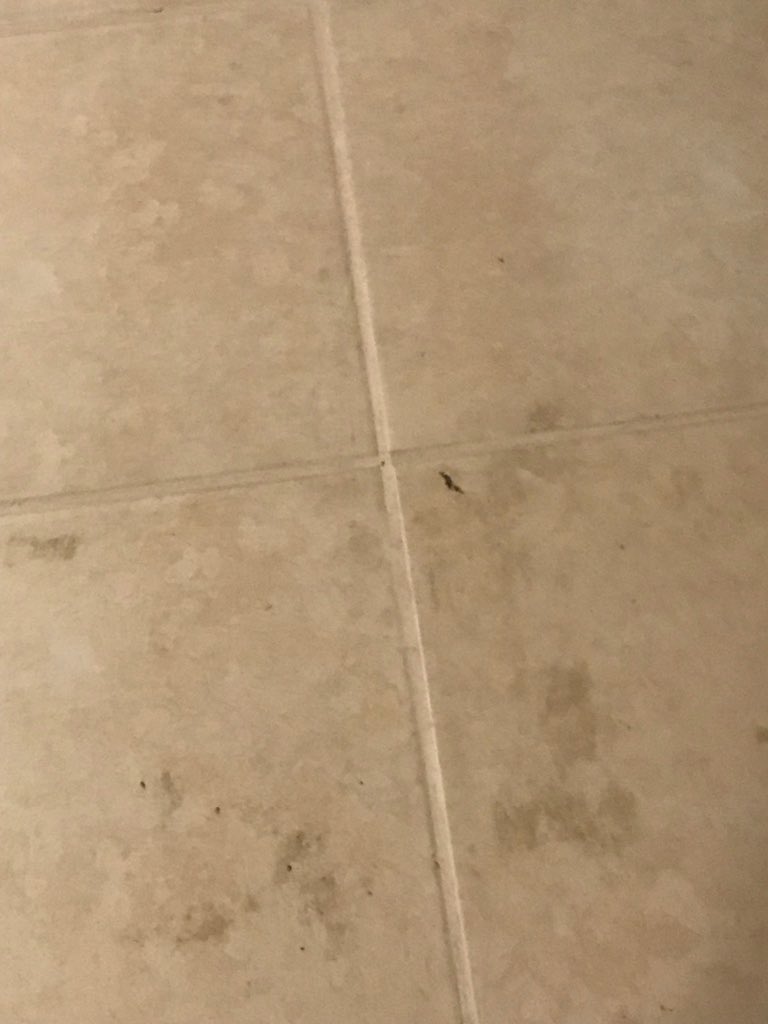 proartject's tweet photo. The floors were covered in dirt like nobody mopped @Airbnb https://t.co/GVb2Q2vLtT