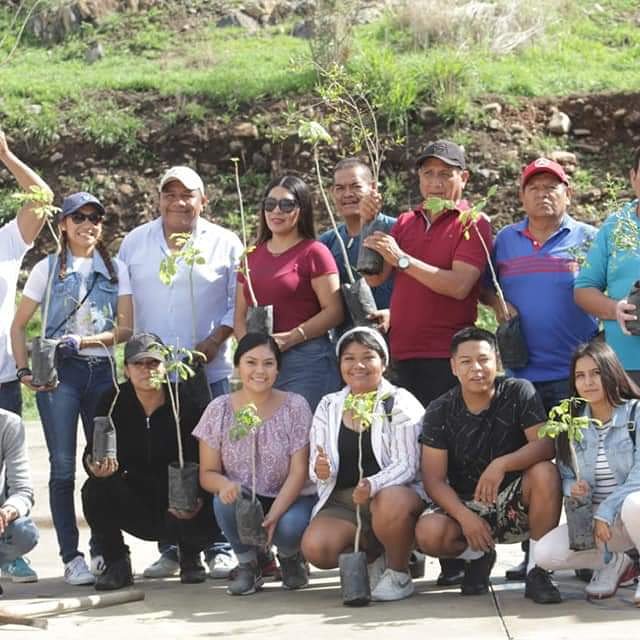 KeyRazon's tweet photo. Y no vamos a desacansar hasta ver todo el entorno #reforestado y tupido de #áboles 🌳🌳🌳🌳🌳🌳
#Súmate a la #Campaña
#Yo ❤️MiPlanetaDeNeta
#FelizDomingo
#KeyRazón https://t.co/sz6sYCmBDK