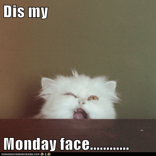 MaraRanger's tweet photo. @mactak95 @wildwaterstu @jedisexpest @TheFreyaKat @saugep_sarah @SmMarwood @C3Pwhoa but....but....that face! ๐๐๐ just be thankful you don't look like me right now #rawr #takethatMonday *plop* https://t.co/DegtF4SwAj