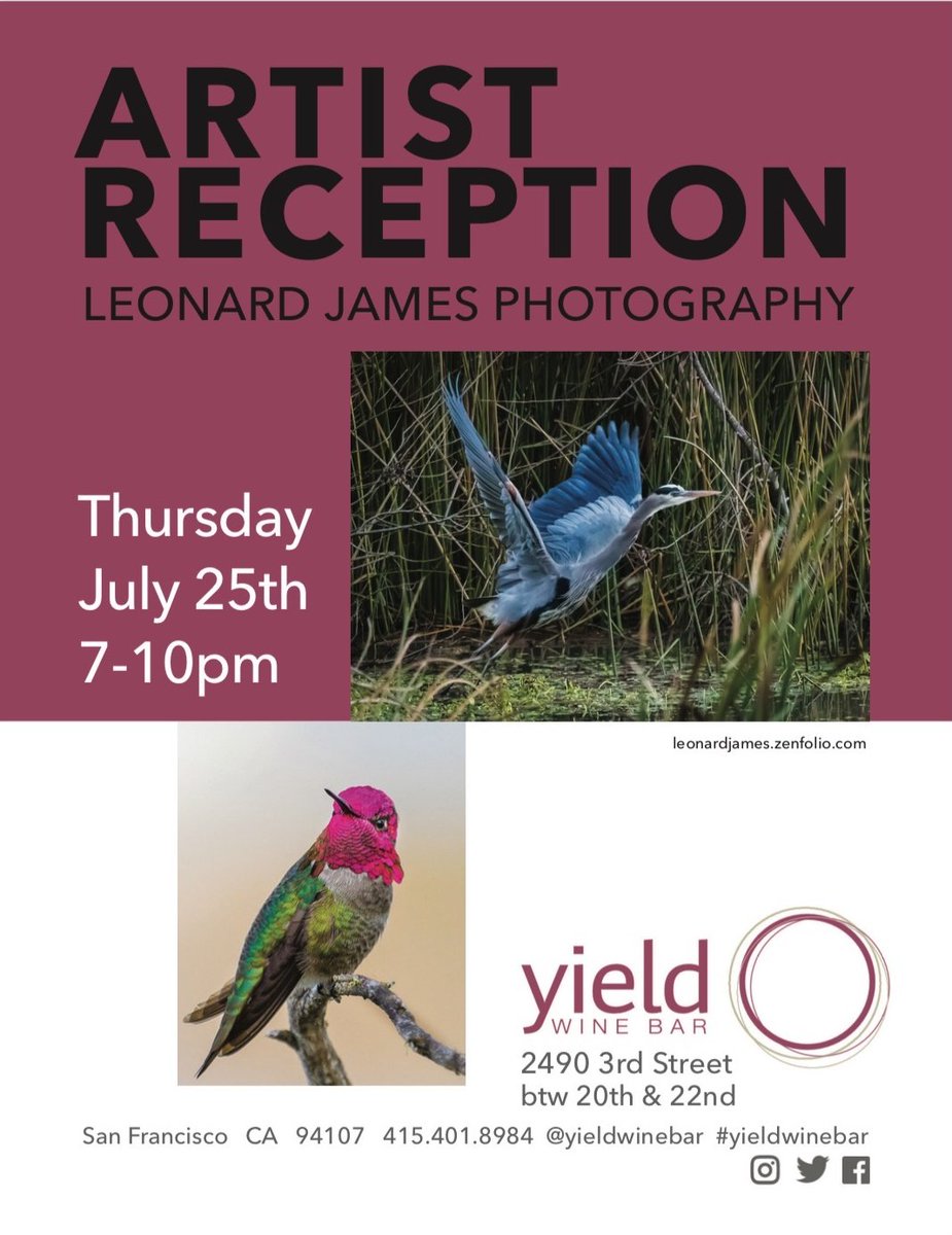 YieldPauseWine's tweet photo. Join @sfmovingroovin as she hosts an artist reception for Wildlife Photographer Leonard James at Yield in Dogpatch this Thursday, 7/25, 7-10pm. https://t.co/KZdE78TdsH