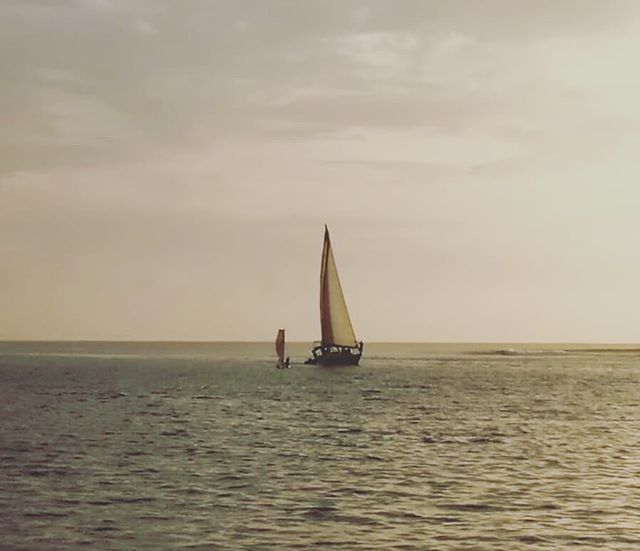 WinfliSailtrip's tweet photo. Navegando juntos con la última luz...
Winfli y Massi uar-bo!! 😉⛵⛵
📷by Tikai
#jugando #sailinglife  #sailinglovers #sailingwithkids #niñosabordo #sunset #picoftheday #playingatsea #windnomads #fun #joinus #winflisailtrip #panamagram #freedom #sailingt… https://t.co/IJg2GRtikE https://t.co/n4yuH1PD8o