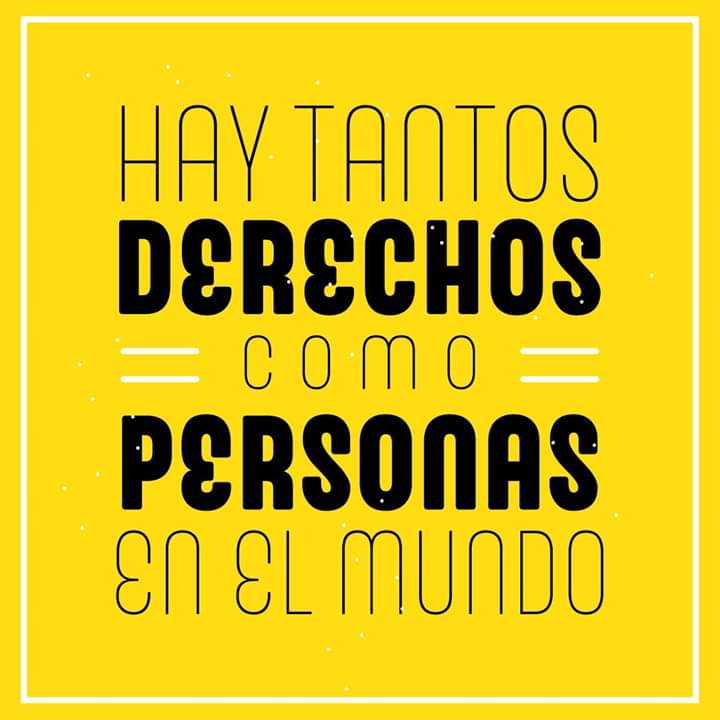 LeyTransYa 💛 tweet media