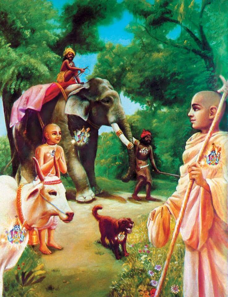 #BhagavadGita 5.18: A wise person, because of his humility and wisdom sees a brahmin (learned person), cow, elephant, dog, and dog-eater as equal spiritual beings. With this vision his love and compassion for all living beings increases.
#Krishna #Gita #Yoga #Gitashloka #Bhakti