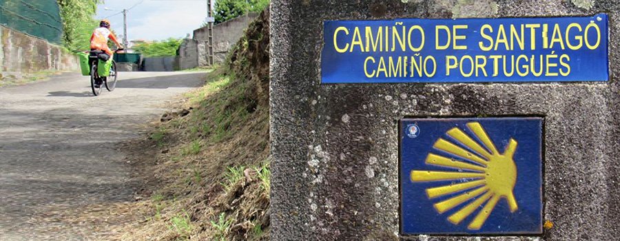El Camino de Andrés tweet media