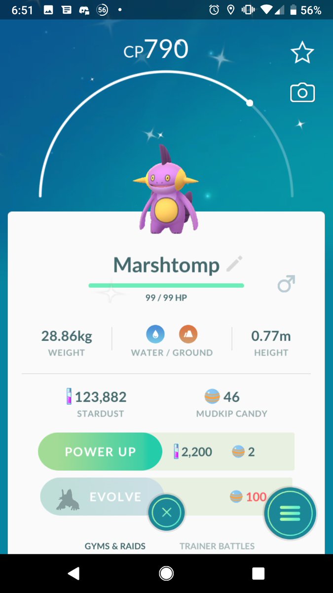 ZMAN_COOK's tweet photo. I got a real nice haul from this months community day. Came away with a total of 5 shiny mudkips. https://t.co/v4S24iRwO9
