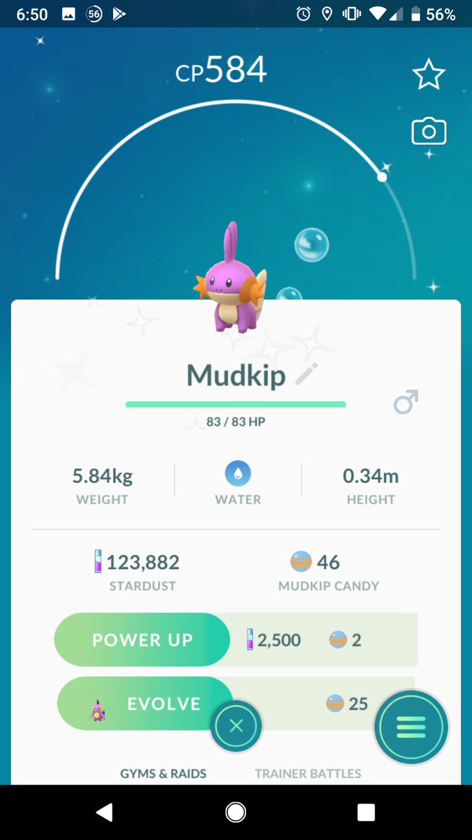 ZMAN_COOK's tweet photo. I got a real nice haul from this months community day. Came away with a total of 5 shiny mudkips. https://t.co/v4S24iRwO9