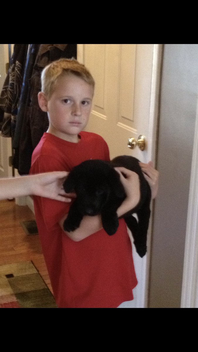 Scumbagcody's tweet photo. Somebody did a hit and run on my dog last night and then left him on the side of the road for us to find him. So I wanted to make a post celebrating the life he gave us with a few pictures from his life. Youll forever be in our lives and will never be forgotten. We love you Bolt! https://t.co/6qH4TJufC6