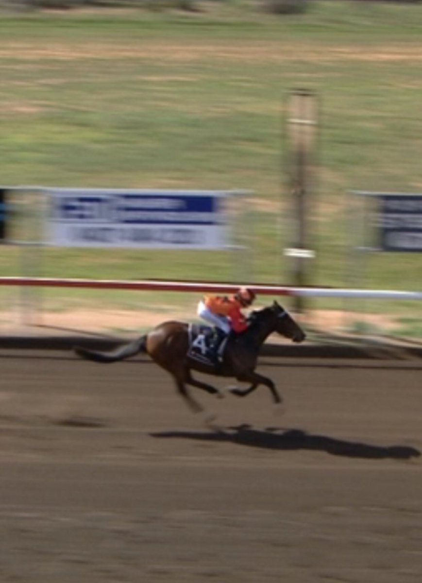 SwettenhamStud's tweet photo. #OLIVERSTALE 3G Akeed Mofeed x Olivia Lass (Mugharreb) registers a resounding win at #PortAugustaRaces Sth Aus for Gawler Tr Dean Magro & Jk Alice Lindsay @ajlindsay93 #AKEEDMOFEED at @SwettenhamStud in 2019 https://t.co/bcW24UeQVW
