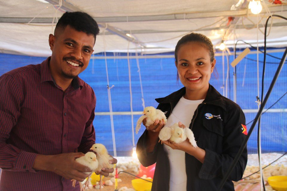 Fantastic. Former seasonal workers from #Timorleste pooling cash +skills from their time in 🇦🇺 to set up their own business.  This is what @SWPAustralia is about - a needed workforce for 🇦🇺 farmers, life changing opportunities for participants. <a href="/SWP_TL/">SWP Timor-Leste</a>  facebook.com/AustralianEmba…