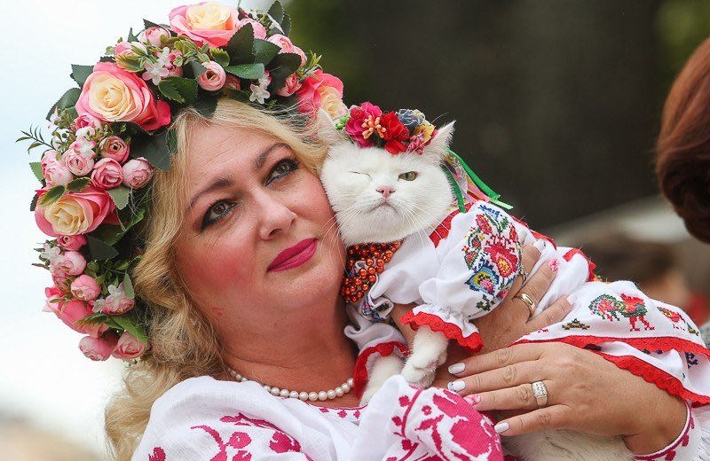 ユヤ 民族衣装を着たウクライナの猫さんが可愛すぎて滅茶苦茶画像探してしてしまいました そっと流します
