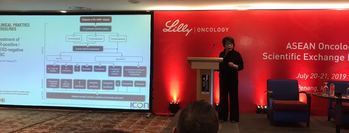 Dr Karmen Wong presented at the ASEAN Oncology Scientific Exchange Meeting in Penang on clinical practice guidelines with a focus on breast cancer case studies. Icon SOC's Dr Yew Oo Tan was also chair of the meeting. #ASEAN #cancercare #icongroup