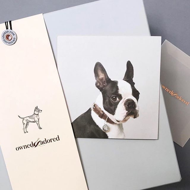 Parse & Parcel tweet media