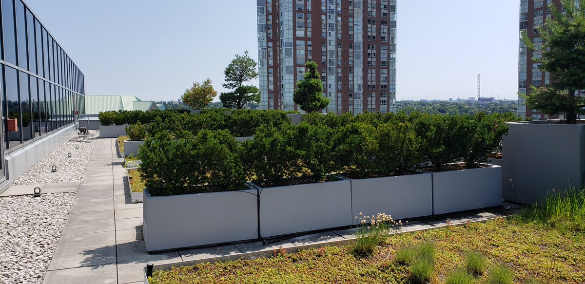 NNitinkul2007's tweet photo. A huge thank you to @DaveAtCOGS and all the teachers at @COGS for sharing their knowledge and all their support and as per special request green rooftop pics from @esricanada. https://t.co/I1OhcCAwIl