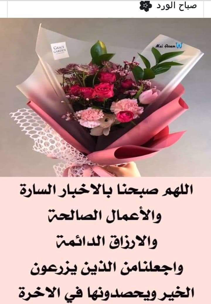 jarrahali's tweet photo. https://t.co/gHUGWsozKR