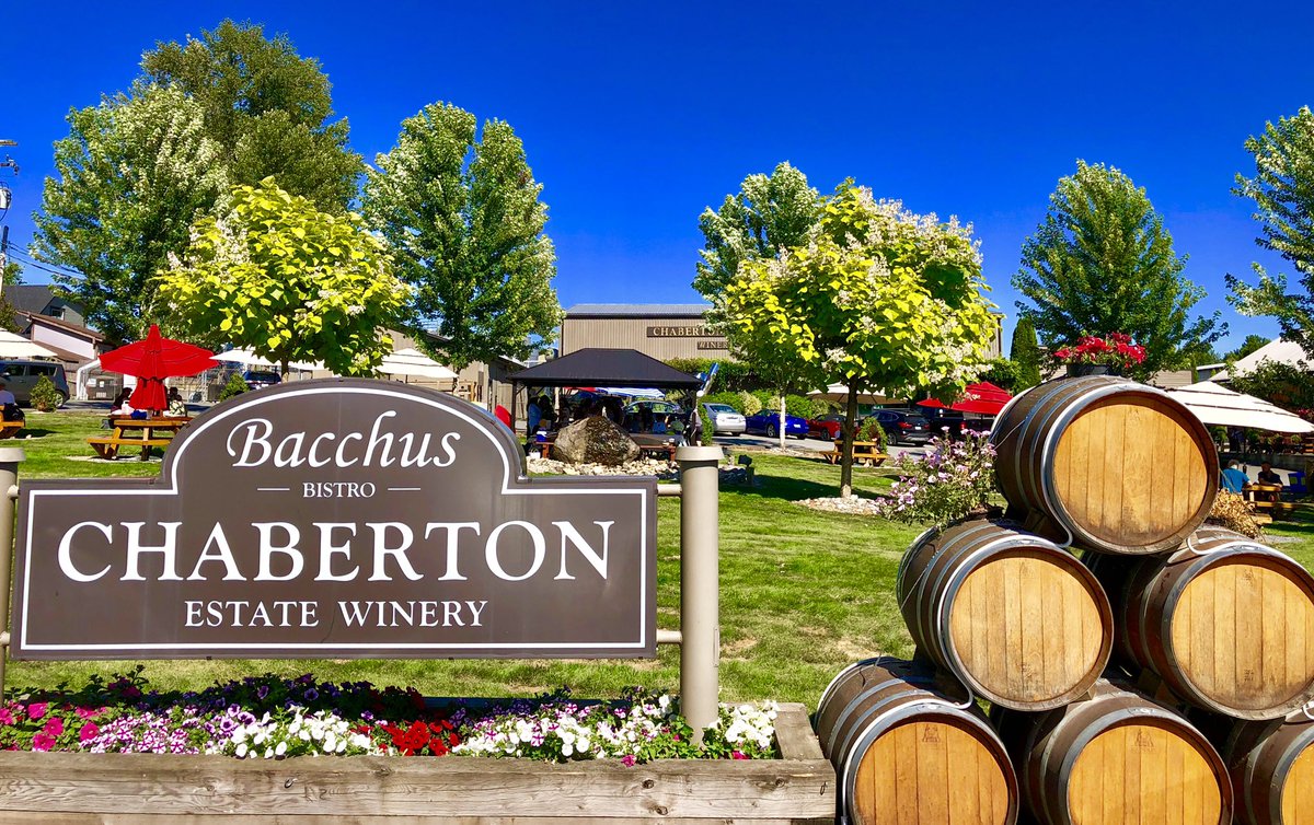 Gorgeous afternoon in #LangleyBC  #FraserValley #BTViews <a href="/ChabertonWinery/">Chaberton Estate Winery</a> 🍷 ☀️