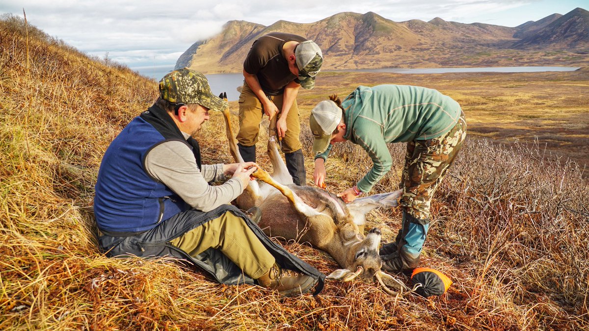 AKODTV's tweet photo. Team Moffat bringing home the groceries. Can’t beat fresh Sitka Blacktail deer. Shows now airing weekly on pursuit channel. #Alaska #Hunting #PursuitChannel @HughClark09 https://t.co/3f7fMIOUzt