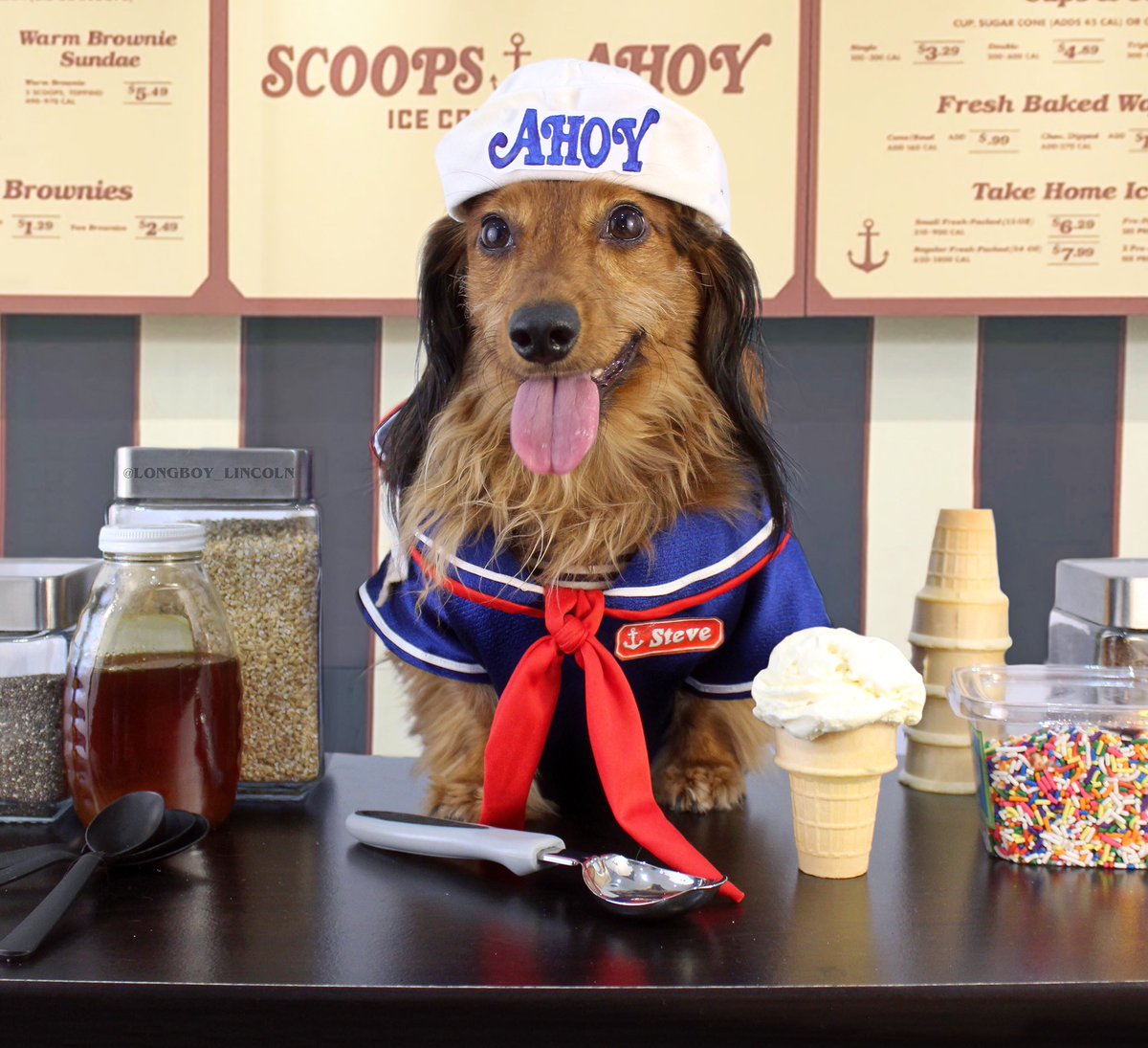 longboy_lincoln's tweet photo. Steve the Fur Furrington at #ScoopsAhoy Happy #NationalIceCreamDay #ScoopsTroop #strangerthingsseason3 #StrangerThings @joe_keery @netflix https://t.co/ApnwG2bEdd