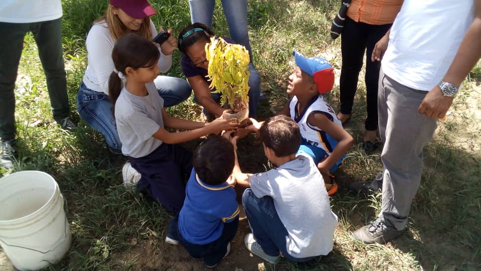 JVPMiranda's tweet photo. Hoy #21J en cada Municipio de nuestro Estado Miranda la juventud comprometida por Venezuela y el futuro de nuestro país, decidimos sembrar un árbol. #SembradosEnVenezuela porque aquí deseamos cumplir nuestras metas y sueños. https://t.co/JFaZJwDb6h