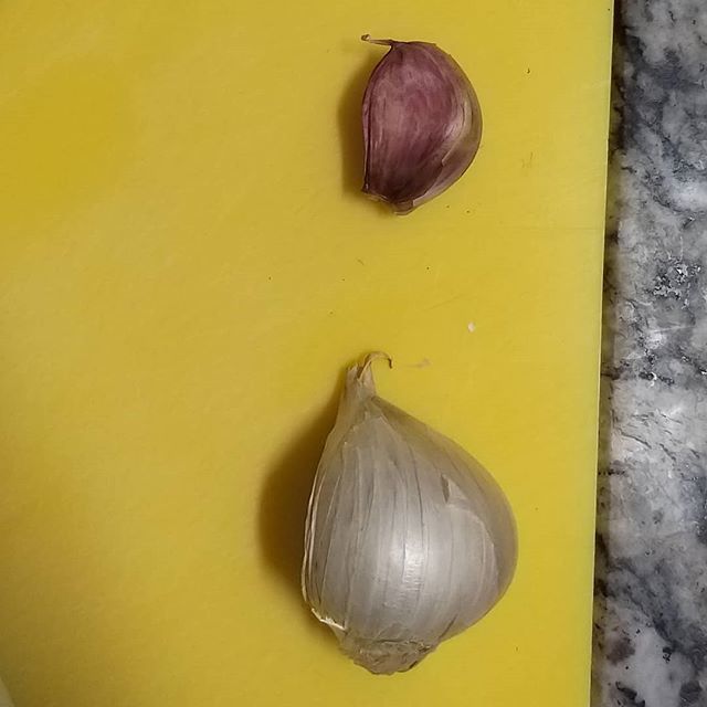 Aquele dentinho de alho bem mineiro

#alho #mineirinho #Aquele dentinho de alho bem mineiro

#alho #mineirinho #