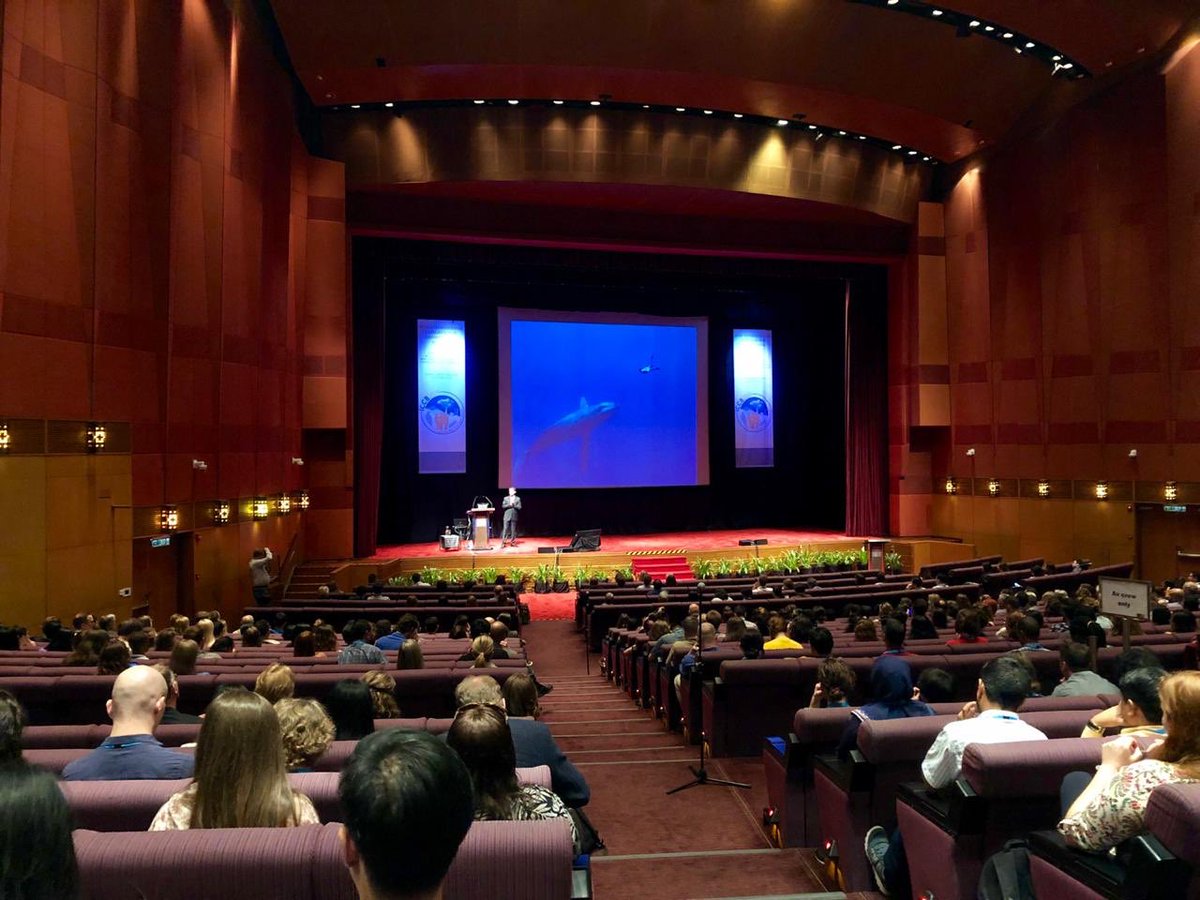 shell_catch tweet media