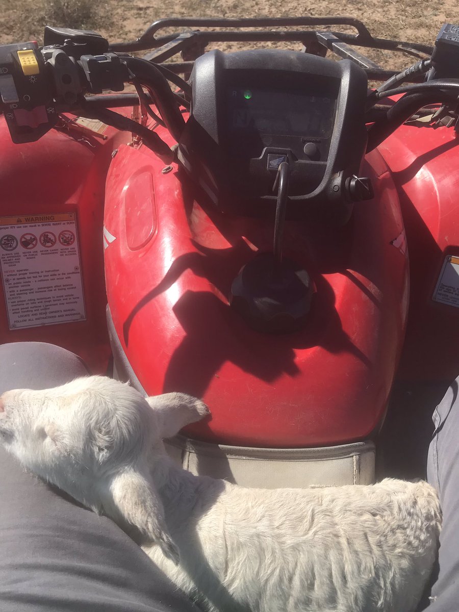 Barnaby Joyce tweet media