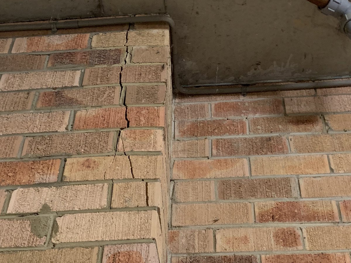 Partridge tweet media