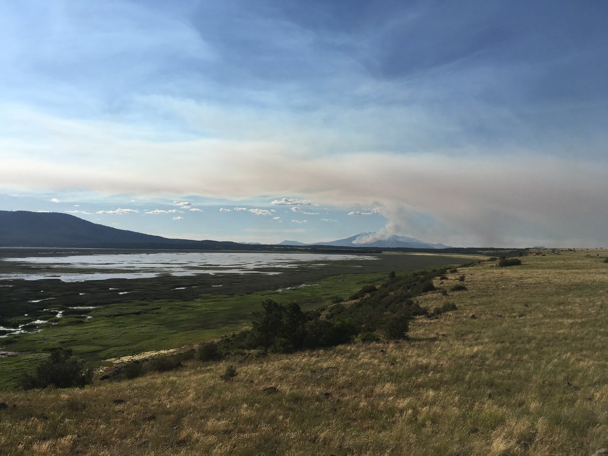 ProfFaust's tweet photo. View of #MuseumFire from Mormon Lake overlook and zoomed in from Hutch Mountain fire tower earlier this afternoon. Looks eerily similar to the massive #SchultzFire in June 2010. https://t.co/dr0cEO7Ira