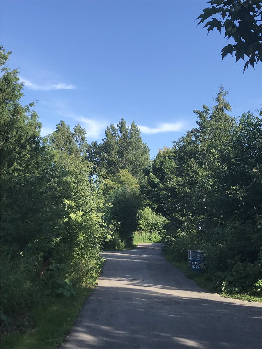 angieland10's tweet photo. Beautiful eve hike with pup #walkingmeditation https://t.co/VWBnKrnNaX