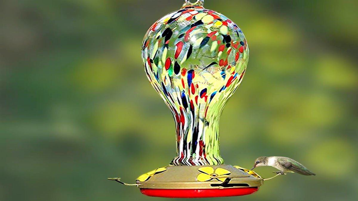 Gratefulgnome Hummingbird Feeders Sale Now On Link Https T