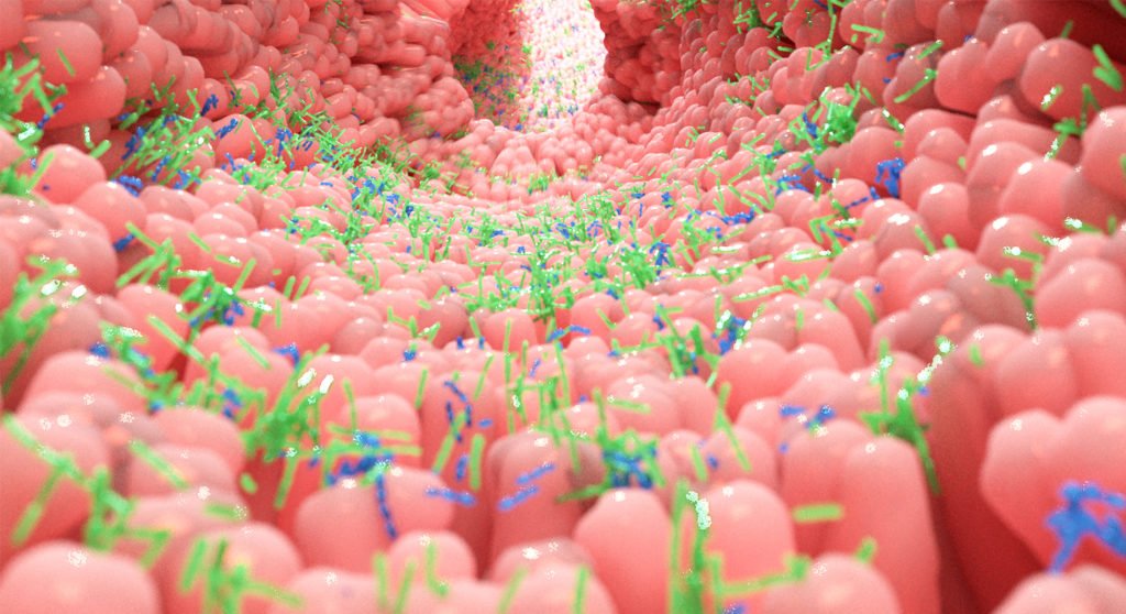 GutMicrobiotaWW's tweet photo. "Los individuos que consumían más de 30 tipos de vegetales por semana también tenían menos genes de resistencia antibiótica en sus microbiomas intestinales que aquellos que consumían 10 tipos o menos". Entrevista a Rob Knight por @andreuprados: https://t.co/HVCB3J0a8B
#microbiota https://t.co/c2mXG1CWoC