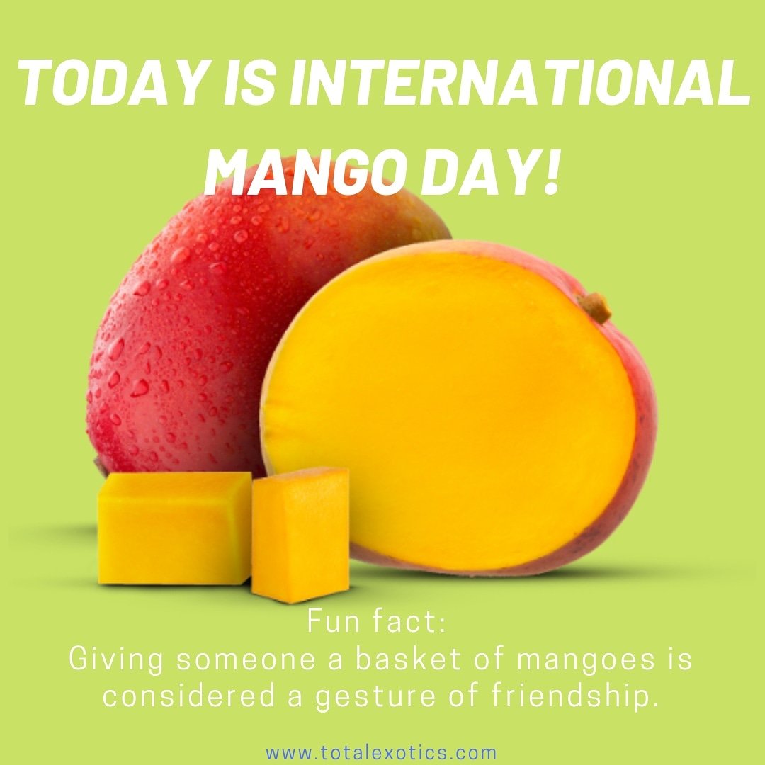 Happy international mango day everyone! Enjoy it in the only way possible by eating mango's! 🥭
#mango #mangoday #enjoy #totalexotics #agfnl #freshfruits #fresh #fruits