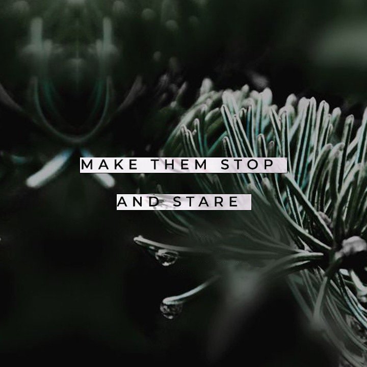 Make them stop and stare 

Check our collection at store.planetsurfonline.com or instagram official online store <a href="/planetsurf/">planetsurf</a>.online
#planetsurfindonesia #quotes