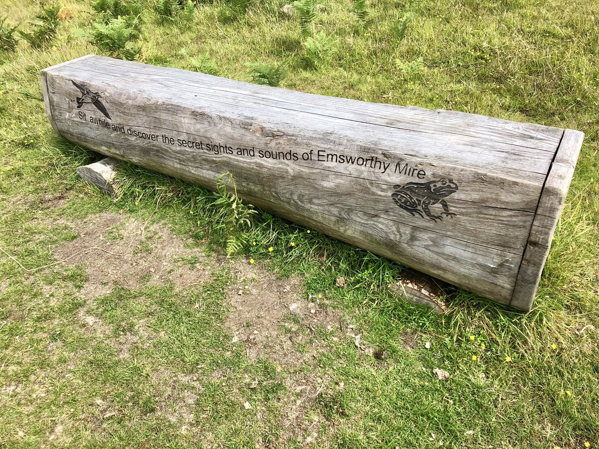 #SitForABit 😅Emsworthy Mire #LovingNature 🦋🐝🕸🐍🐑@dartmoornpa ☀️ @GreatDevonDays @DevonWildlife