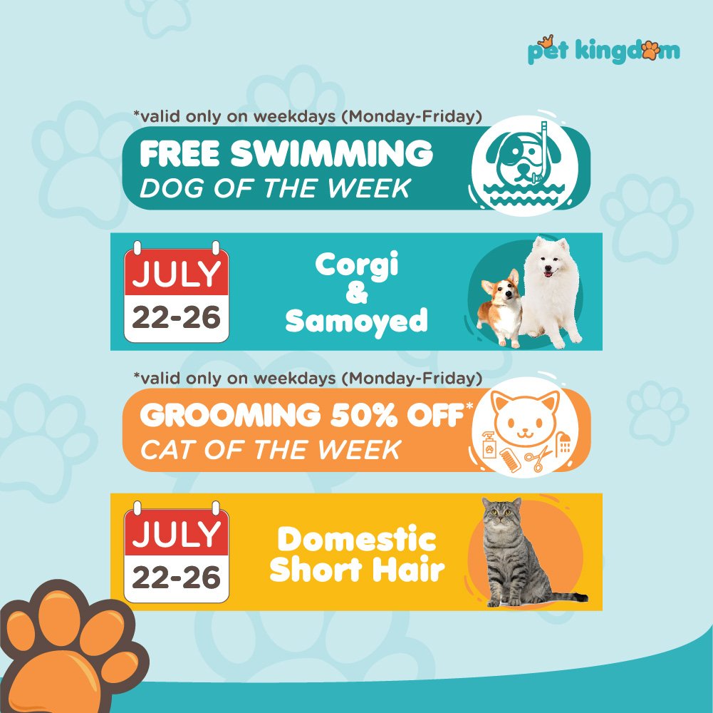Mulai hari ini sampai Jumat 26 Juli 2019, anjing corgi dan samoyedmu bisa berenang GRATIS di Pet Kingdom Alam Sutera.

Jangan lupa ajak kucing domestic short hairmu untuk grooming ya, ada diskon 50% nih untuk mereka!