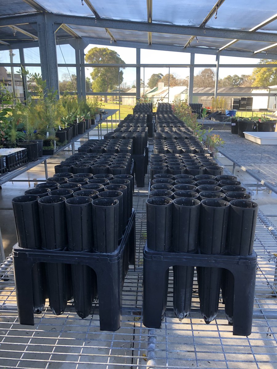 Katie Rolls tweet media