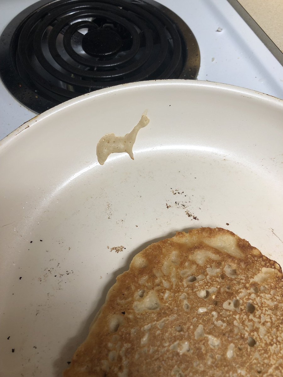 Heatherhoffey's tweet photo. My pancake splatter looked like a llama https://t.co/mx2cYFqrHq