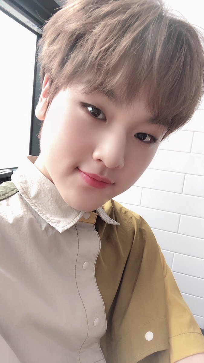 meroain's tweet photo. ダイエット頑張ってアイドルになれて夢叶えて本当に凄い
#PRODUCE_X_101 #프로듀스X101 https://t.co/W3kCxFNzEg