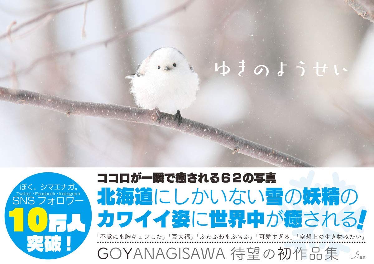 ぼく シマエナガ Twitterren 乃木坂工事中でシマエナガグッズが 賀喜さん出題の自分クイズ正解の賞品としてとうじょうしたよ Amazonからポチすると 写真集 ゆきのようせい と中綴じカレンダーともふもふ学習帳がついてくるよ シマエナガ地獄セットだよ ぼく シマエナガ Twitterren 乃木坂工事中でシマエナガグッズが 賀喜さん出題の自分クイズ正解の賞品としてとうじょうしたよ Amazonからポチすると 写真集 ゆきのようせい と中綴じカレンダーともふもふ学習帳がついてくるよ シマエナガ地獄セットだよ