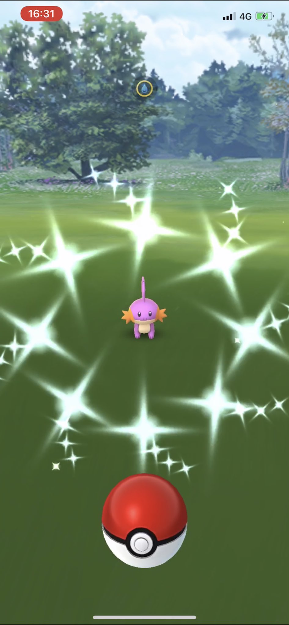 Pgo Julian 重量級が大好き ミズゴロウデイ 色違い11匹 最高個体は98でした カノンラグラージは後になって後悔しないようにとスーパーリーグ用も含めて14体進化 先月より楽しかった ポケモンgo Pokemongo ミズゴロウ ラグラージ Shinypokemon Pgo Julian 重量級が大好き ミズゴロウデイ 色違い11匹 最高個体は98でした カノンラグラージは後になって後悔しないようにとスーパーリーグ用も含めて14体進化 先月より楽しかった ポケモンgo Pokemongo ミズゴロウ ラグラージ Shinypokemon