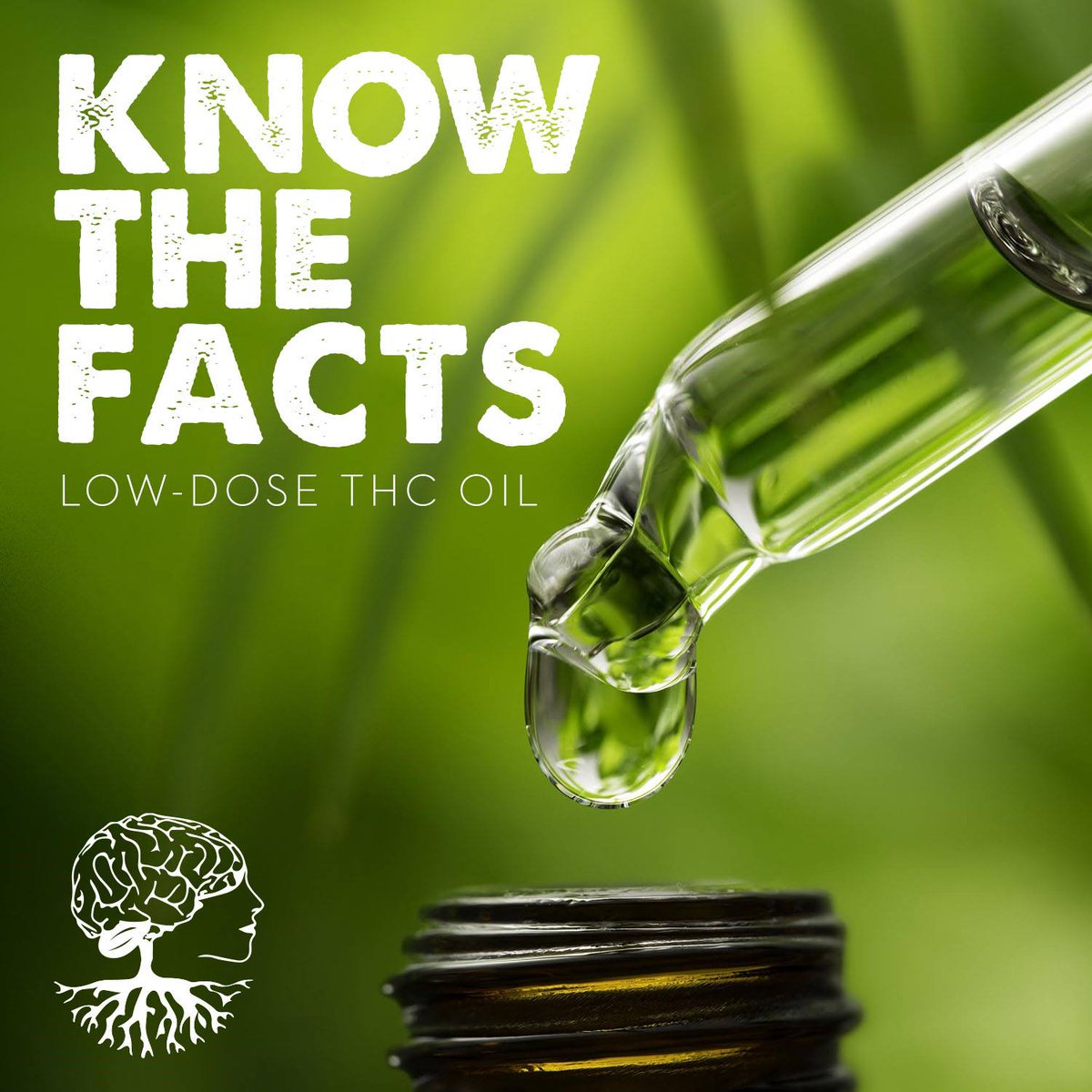 dpsstatesboro's tweet photo. Low-doses of THC has proven to help people suffering from depression, chronic pain, seizures, Parkinson's Disease, and more! If you think you might be eligible for a low-dose THC registry card, give us a call at 📱912.662.6501 https://t.co/TqDKFgLwRv