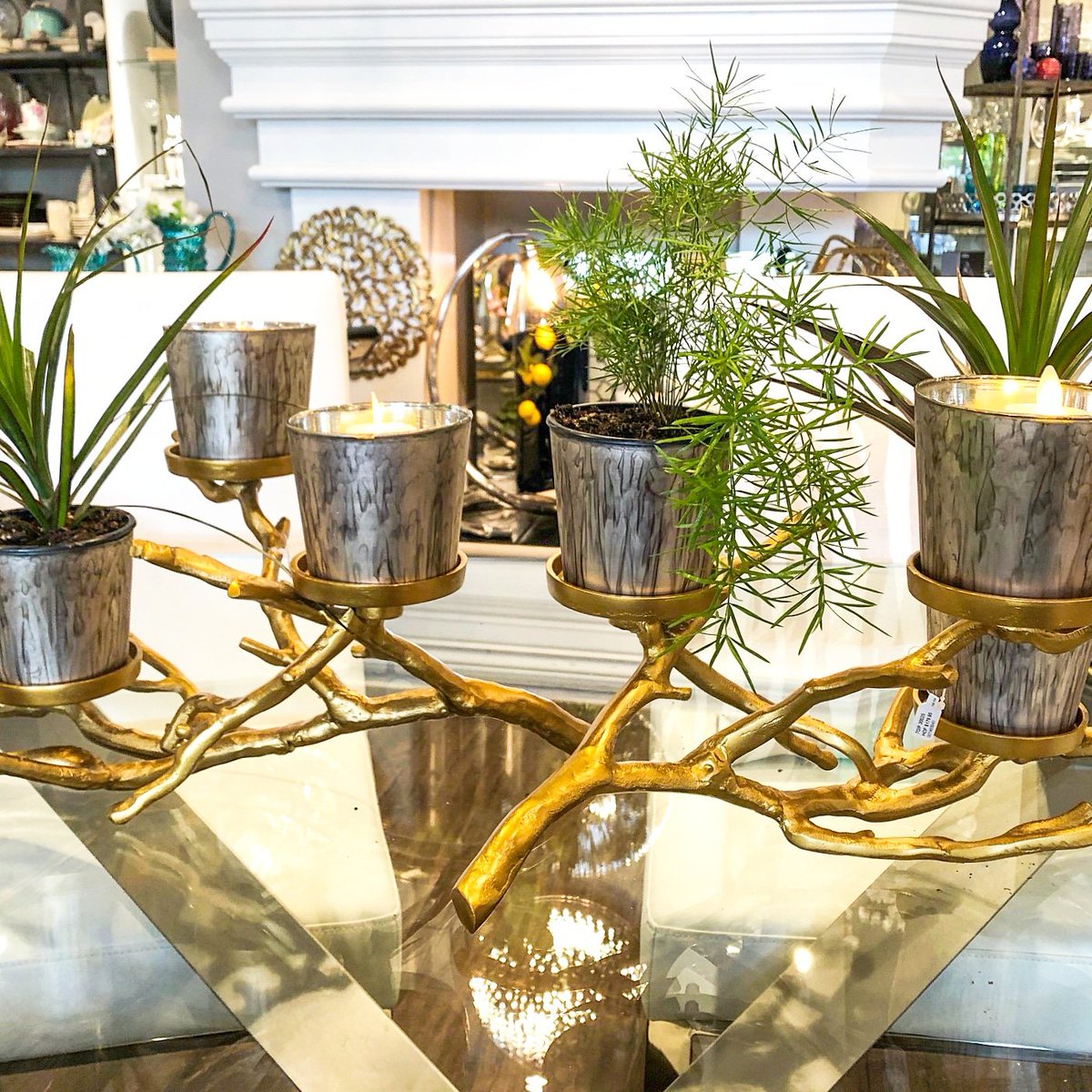 A candle holder that doesn't have to hold just candles. We've brought these little candle pots to life with plants.
#candleholder #creativedecorideas #inspiredbynature #centrepieceideas #decoratingwithplants #candles #candlelight #decorideas #designdetails