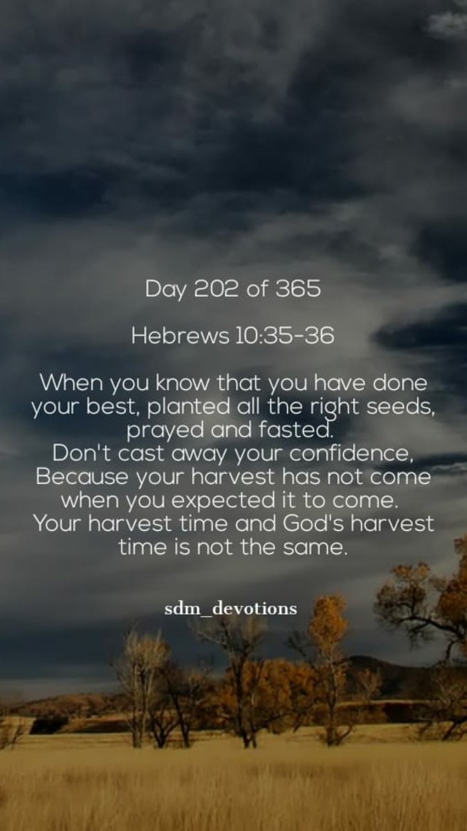 iamrandalljones's tweet image. Good morning.