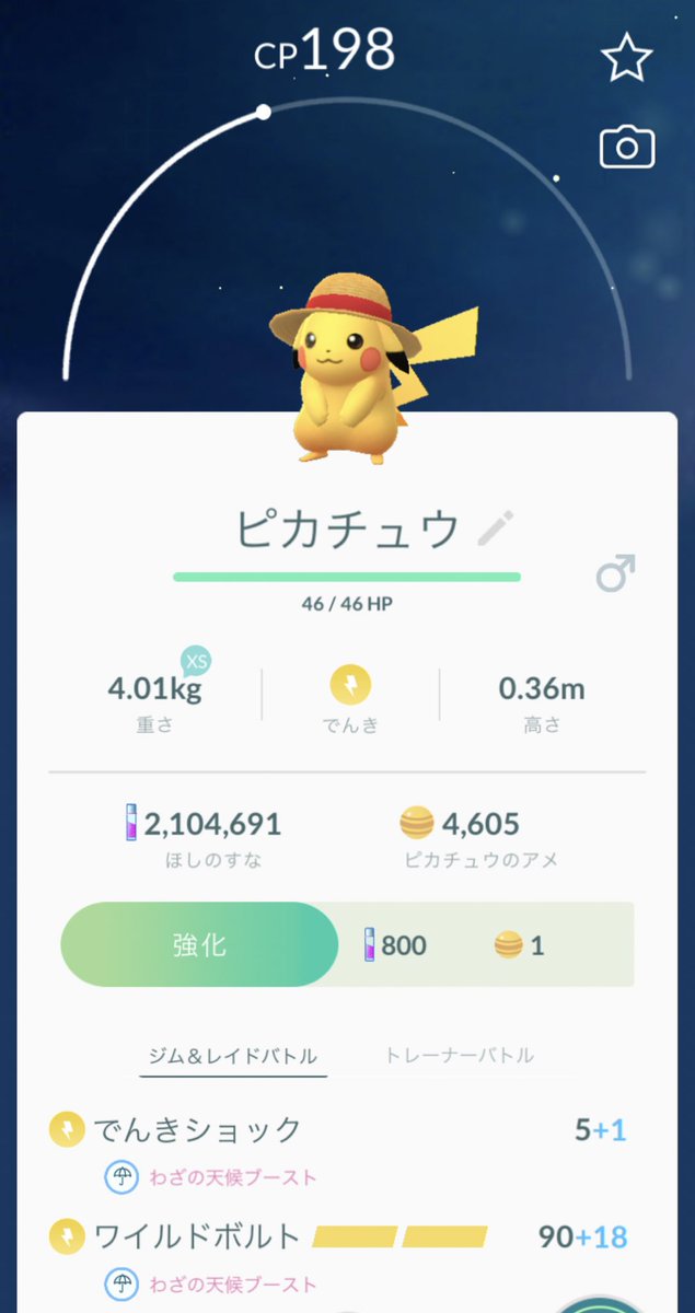 十年 債務 あざ ピカチュウ 麦わら帽子 ライチュウ Djlcforum Com