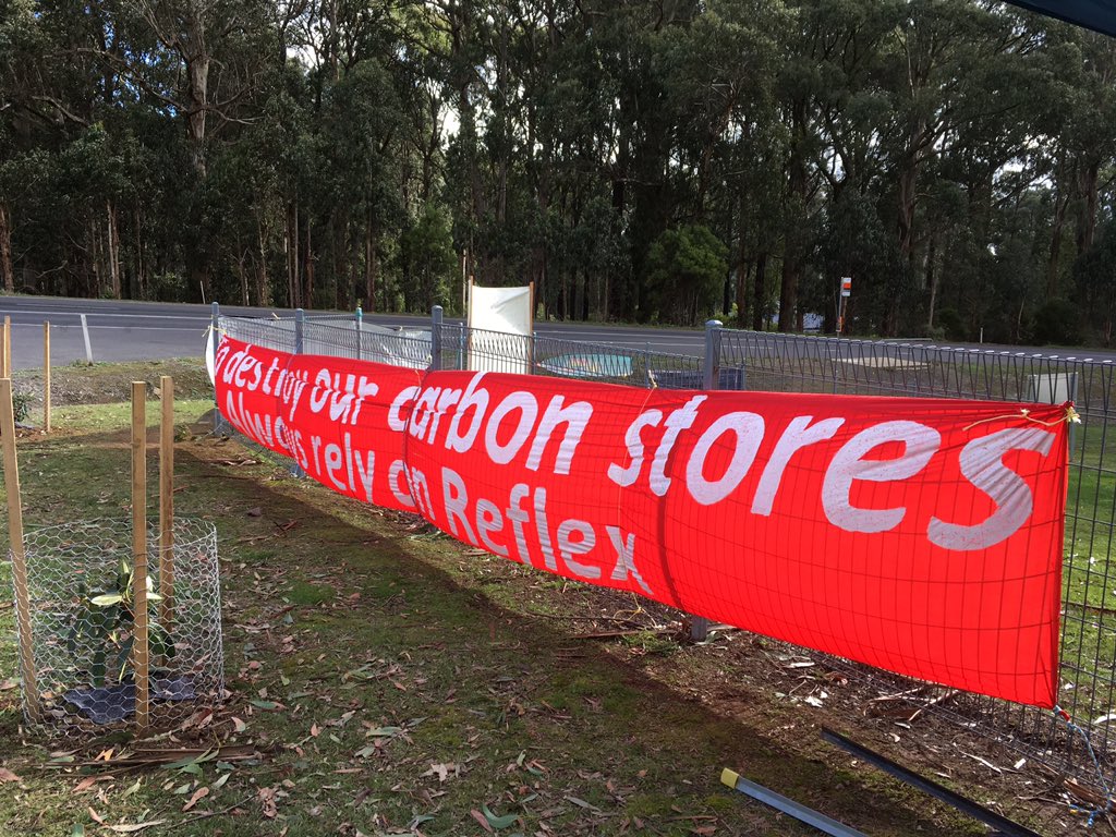 jillyfrees's tweet photo. @ourstrathforest @WildernessVIC @NotLaoTzu @mn_forests @bertbohosouth @delia49 @JCrooka @nettwalton @LilyDAmbrosioMP @JaclynSymes Great community rally at Extons rd to meet @swoopglideyglid &amp; tell @Vicforestscomms to STOP #logging #Greaterglider habitat for exporting paper pulp #logOFFKinglake #refuseReflex cos #loggingkillswildlife https://t.co/epONBnJOnY